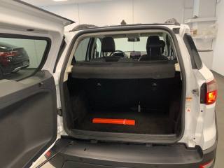 FORD EcoSport usata, con Fendinebbia