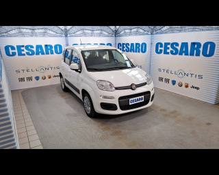 FIAT New Panda 1.2 69cv EASY