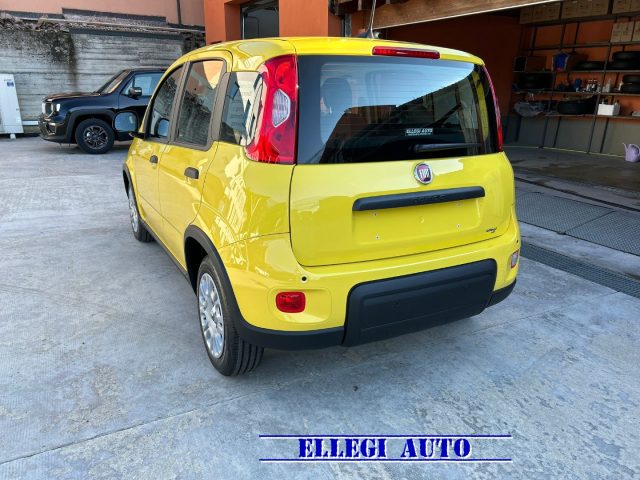 FIAT Panda usata, con Chiusura centralizzata