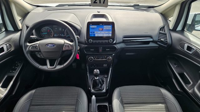 FORD EcoSport usata, con Bracciolo