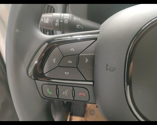 FIAT Panda usata, con Volante multifunzione