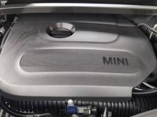 MINI Countryman usata, con Cronologia tagliandi