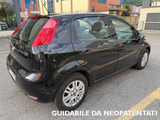 FIAT Punto usata, con Airbag