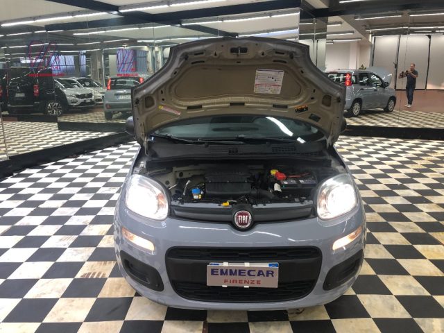 FIAT Panda usata 15