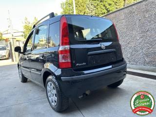 FIAT Panda usata, con Servosterzo