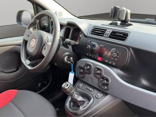FIAT Panda usata, con Immobilizzatore elettronico