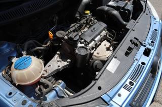 VOLKSWAGEN Polo usata 100