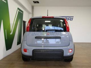 FIAT Panda usata, con Servosterzo