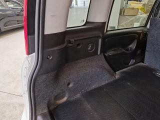 FIAT Panda usata, con Volante multifunzione