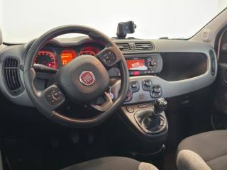 FIAT Panda usata, con Servosterzo