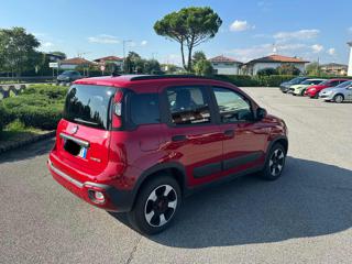 FIAT Panda Cross usata, con Antifurto