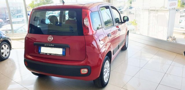 FIAT Panda usata, con Alzacristalli elettrici