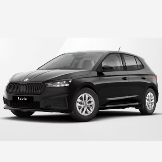 SKODA Fabia usata, con ABS