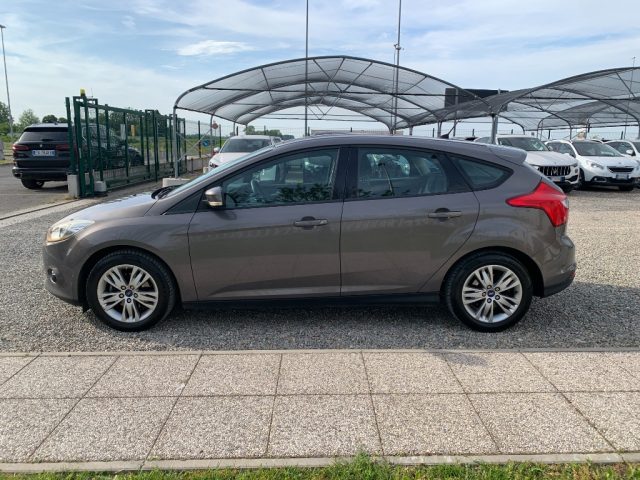FORD Focus usata, con Cerchi in lega