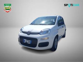 FIAT Pandina 1.0 65 CV Hybrid Icon+GPL