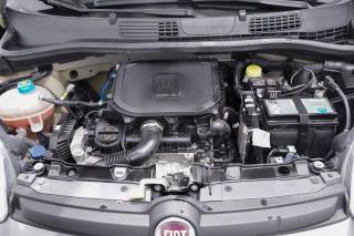FIAT New Panda usata 30