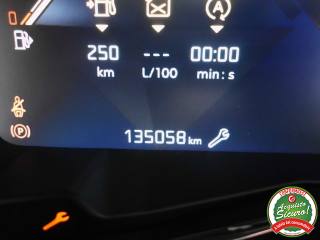 DS AUTOMOBILES DS 7 Crossback usata, con Servosterzo