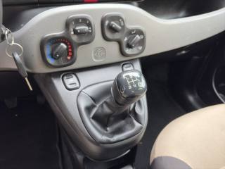 FIAT Panda usata 16