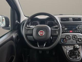 FIAT Panda usata, con Controllo vocale