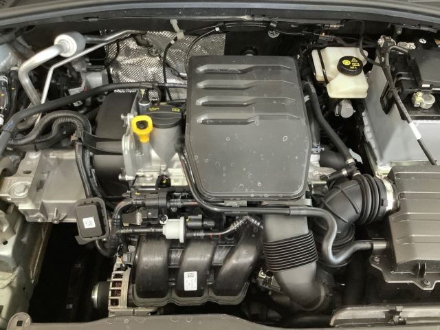 SKODA Fabia usata, con Airbag testa
