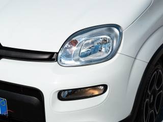 FIAT Panda usata 21