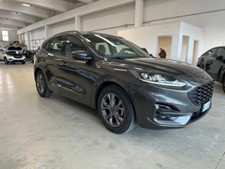 FORD Kuga usata, con Fendinebbia