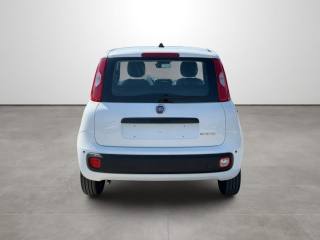 FIAT Pandina usata, con Autoradio