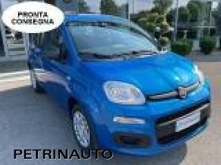 FIAT Panda usata, con Airbag Passeggero