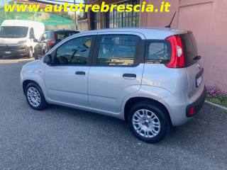 FIAT Panda usata, con Airbag Passeggero
