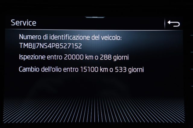 SKODA Kodiaq usata, con Volante multifunzione