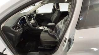 FORD Kuga usata, con Filtro antiparticolato