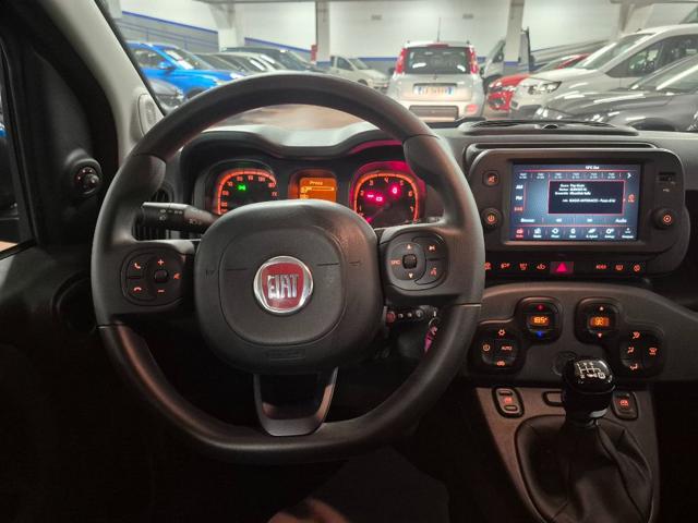 FIAT Panda Cross usata, con Controllo trazione