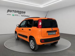 FIAT Panda usata, con Controllo trazione