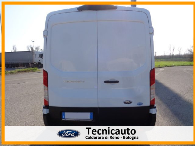 FORD Transit usata, con Fendinebbia