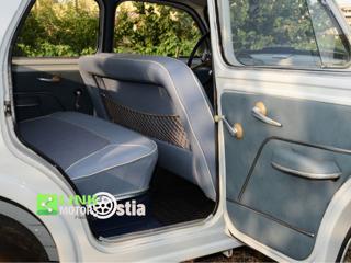 FIAT 1100 usata 8