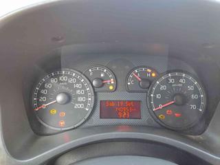 FIAT Panda usata 24