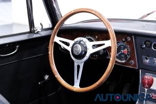 AUSTIN Healey usata 26
