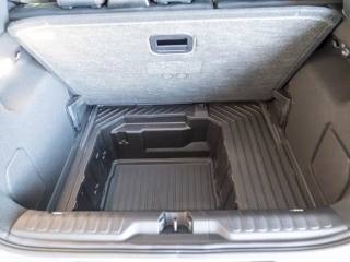 FORD Puma usata, con Cronologia tagliandi