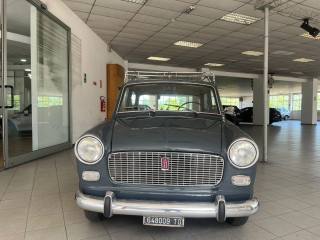 FIAT 1100 usata 1