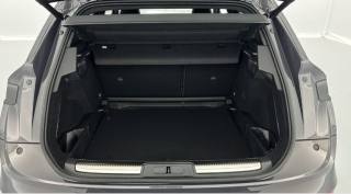 DS AUTOMOBILES DS 7 usata, con Autoradio digitale