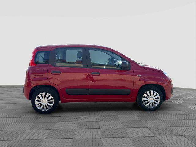 FIAT Panda usata 4