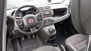 FIAT Panda usata, con Chiusura centralizzata