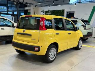 FIAT Panda usata, con Autoradio