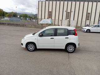 FIAT Panda usata 18