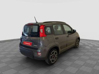 FIAT Panda usata 4