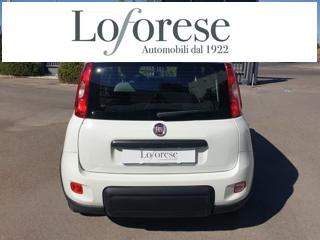 FIAT Panda usata, con Chiusura centralizzata