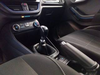 FORD Fiesta usata 15