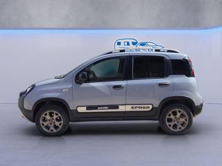 FIAT Panda Cross usata, con Controllo vocale