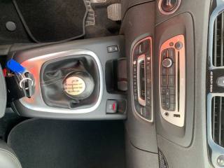 RENAULT Scenic usata, con Fendinebbia