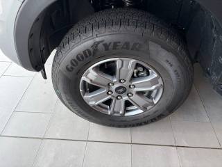 FORD Ranger usata, con Sensore di pioggia